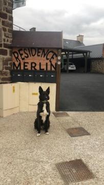 Residence Merlin Appart Des Druides Saint-Malon-sur-Mel Exteriér fotografie